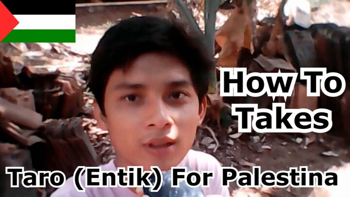 Cara Panen Talas for Palestine (and all people) by Indonesian