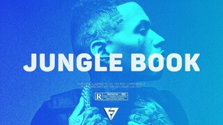 [FREE] "Jungle Book" - RnBass x Tropical x Kid Ink Type Beat 2019 | Radio-Ready Instrumental