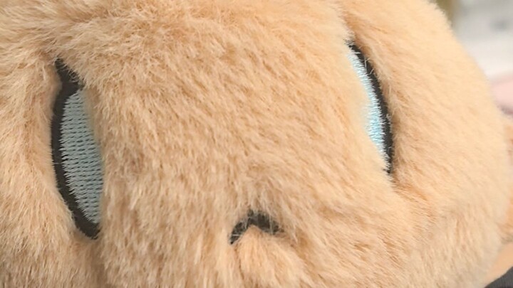 Come in and listen to Amiya learn to meow