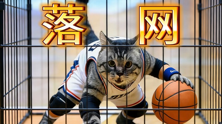 The cat that stormed the CBA court has finally been caught!!!