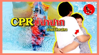 [คลิปเร่งด่วน] ต้องรอด! CPR ช่วยชีวิตปลาคราฟ(เบื้องต้น) l คุณพ่อคราฟ