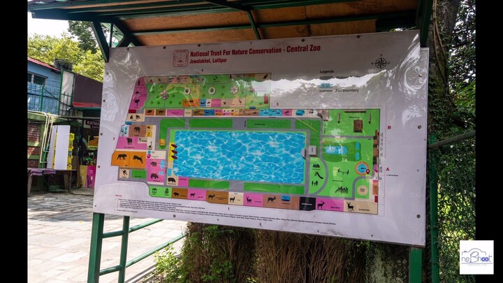 Central Zoo, Nepal — Meet 127 Species in 5 Minutes 🐯🦏