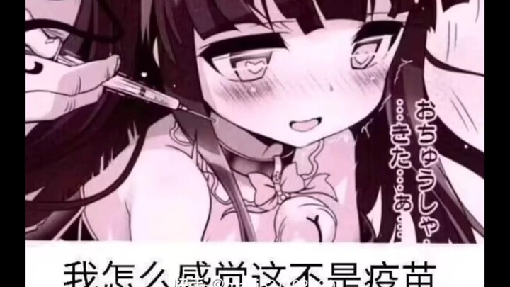 今日份逆天弔图