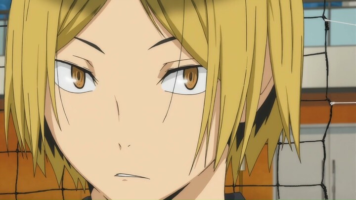 【Haikyuu!】Cat-like