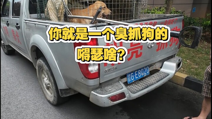 Call for Responsible Dog Ownership