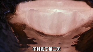 男人在吃苹果时，发现里面全部都是虫子