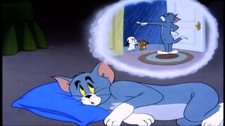 Tom is also a kind little cat
