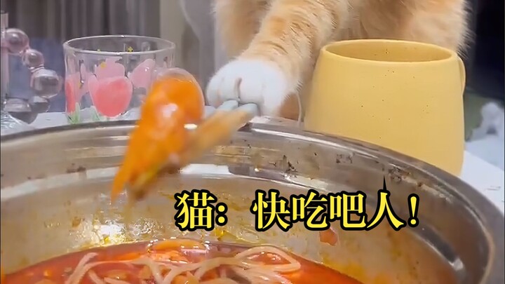 Hãy đưa con đến bệnh viện càng sớm càng tốt. Bé vẫn chưa biết nói ở độ tuổi này!