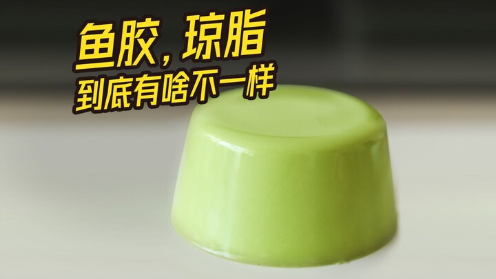 What’s the difference between gelatin, agar, and gelling agents? Explained in one go!