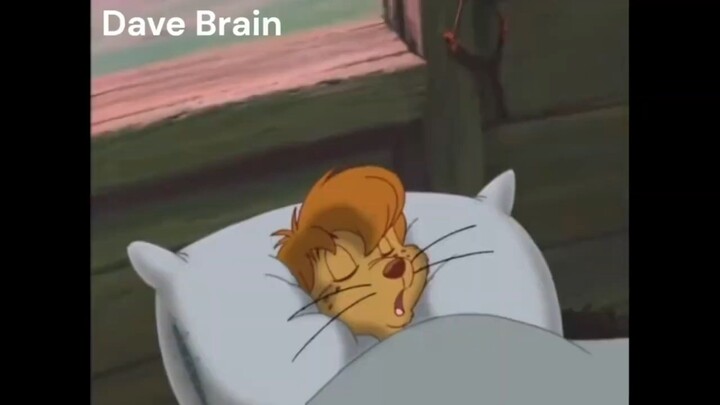 Meme`s Fun Moments Breakdown