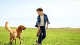 [Ming Ge SHUO Movie] "A Dog's Purpose" The dog went through three reincarnations and finally found h