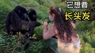 Those animals that encounter people!