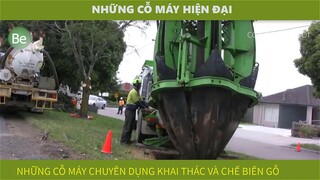 be36-3 - những cỗ máy hiện đại trong khai thác gỗ