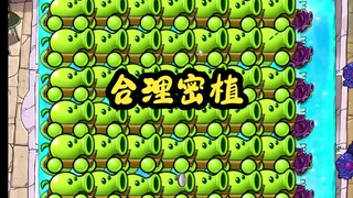 谁说豆族无大帝!【合理密植】