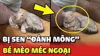 Bé Mèo ngồi MÉC bà ngoại vì con Sen dám ĐÁNH MÔNG mình 😂 | Yêu Lu