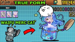 Tiến Hóa Evolving Mèo Đặc Biệt WAIFU MERC True Form Dạng Cuối - The Battle Cats -  TOP GAME THÀNH EJ