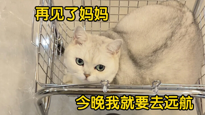 I was so anxious that I even shouted until the hallway motion-sensor lights turned on...