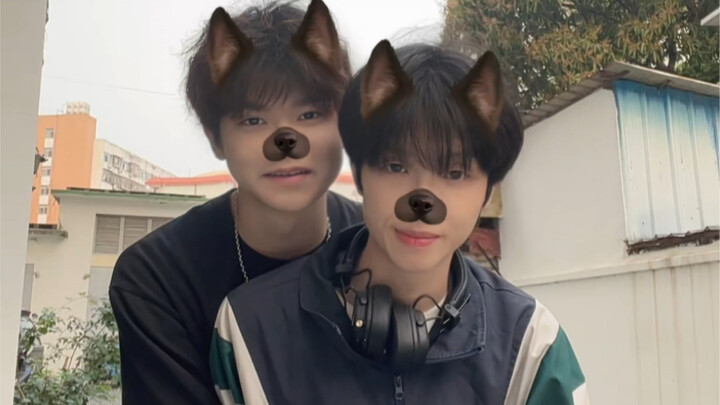 【室友日常】像磁铁一样互相吸引