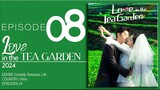 🇨🇳EP8 Love In The Tea Garden (2024)
