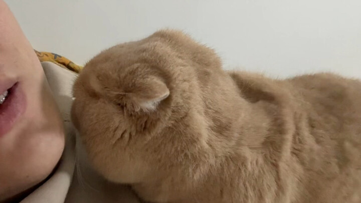 Nó đang tấn công dữ dội vào bệnh trĩ của tôi.