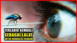 PRIA DIBUNUH TAPI DIA TERLAHIR KEMBALI SEBAGAI LALAT UNTUK MEMBALAS DENDAM