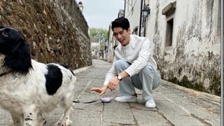 【Gong Jun】Happy Doggy, Chase Away the Blues!