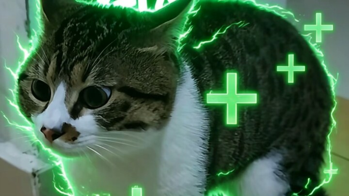 Wow, there’s even a health-recovery effect!