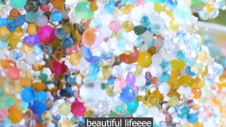 công cuộc hữu ích p1 #mytivi