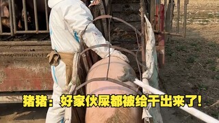 猪猪: 好家伙屎都被给干出来了，牛逼 ！