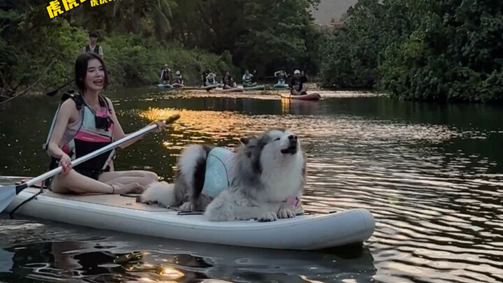 Pudge on a paddleboard