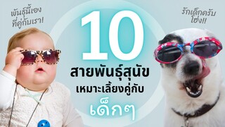 10 สายพันธุ์สุนัข ที่เหมาะเลี้ยงคู่กับครอบครัวที่มีเด็กๆ #Ecobok