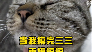 When I finish petting Sansan and then pet Doudou