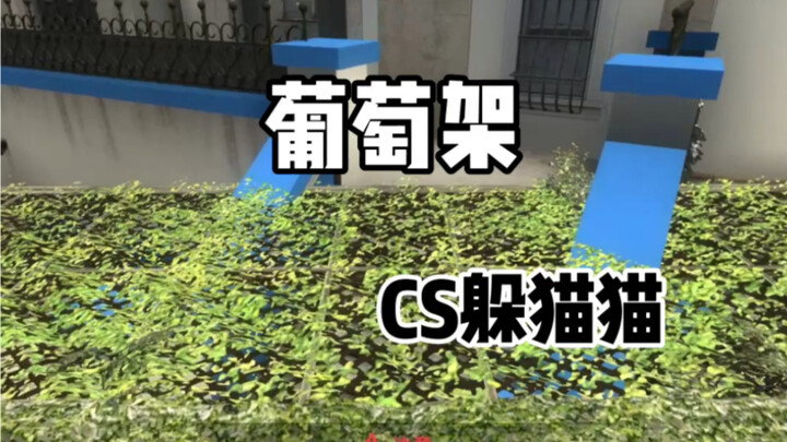 المنطقية تعتمد على النموذج