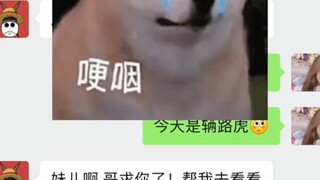 车是大众的，女朋友也是大众的