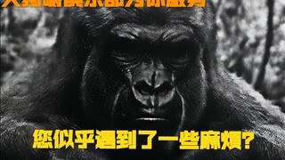 Dường như bạn đang gặp chút rắc rối