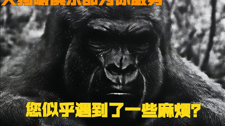 您似乎遇到了一些麻烦