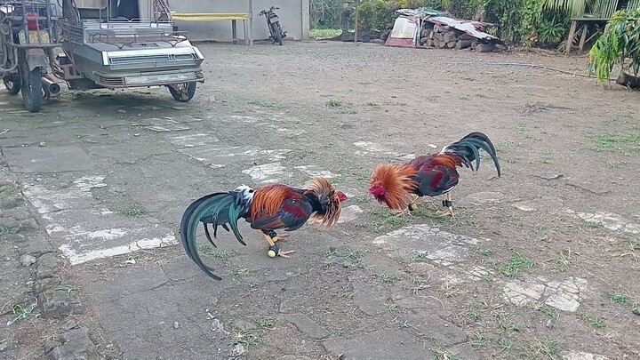 GB vs 5K sweater SLOMO