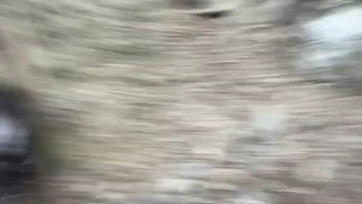 Benar-benar mirip aku yang sedang menghajar anjing nakal nih!