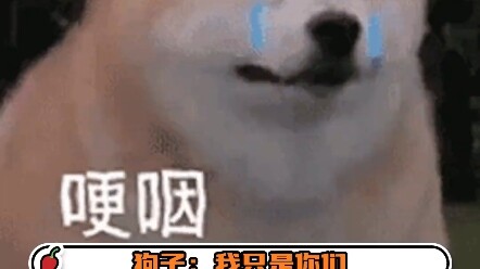 Chó Tử: Quay càng nhanh, bà tôi càng gần tôi hơn # Chó Tử # Gượng cười.