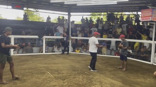 Naka chamba yung pula natin