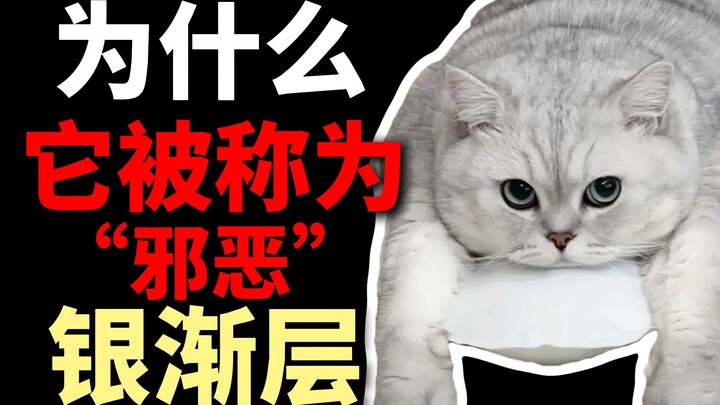 ทำไมถึงเรียกว่า "Evil Silver Gradient"?