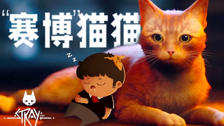 [Feng Xiao Gameplay] Cat's Post-Apocalyptic Adventure | Stray Gameplay