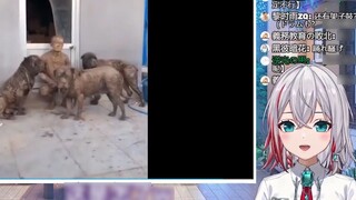 Japanese natural little sister reads "If you raise a few large dogs..."