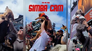 Ngoài Kiss Cam còn có Simba Cam nữa đấy!