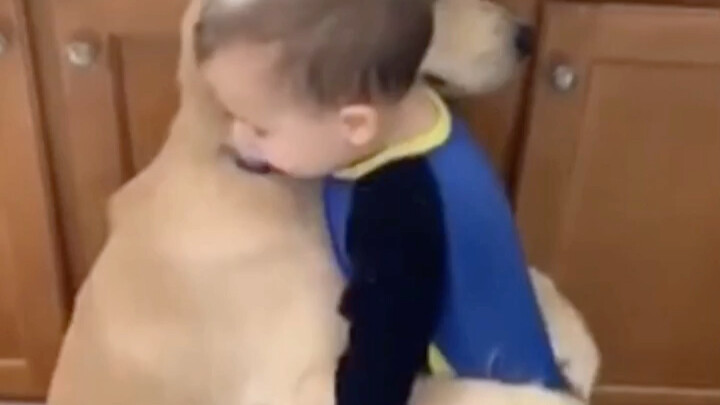 Nice guys are all sh... oh, it's a Golden Retriever, then it's fine.