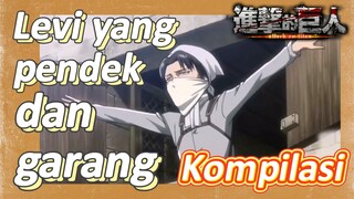 [Attack on Titan] Kompilasi | Levi yang pendek dan garang