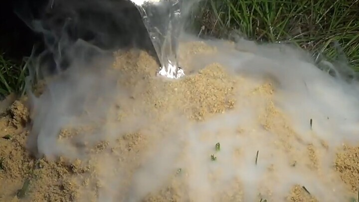 Menggunakan aluminium cair bersuhu 700 derajat Celcius untuk membuat sarang semut api liar! 丨Seni Sa