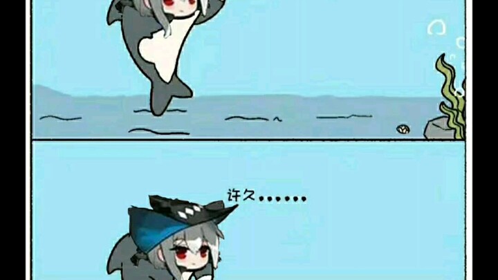 《论如何吸引一条鲨鱼》