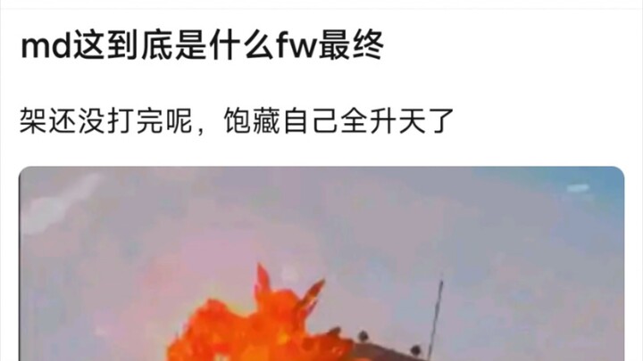 md这到底是什么废物最终，架还没打完呢，饱藏自己全升天了
