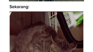 Sekarang bisa bertahan aja udah syukur🙃